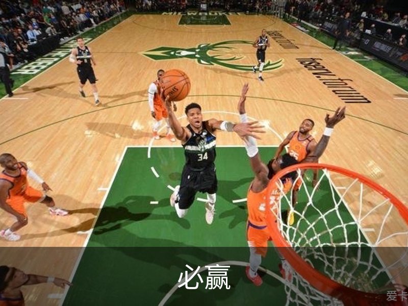 必赢·(中国)官方网站
